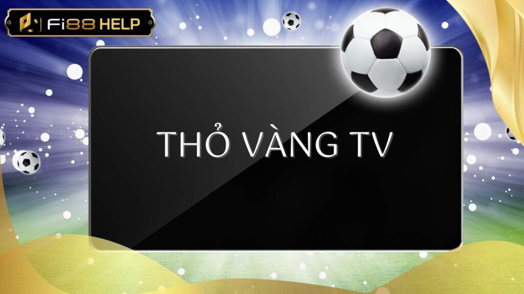 Thỏ vàng TV - Nền tảng trực tiếp bóng đá hàng đầu Việt Nam